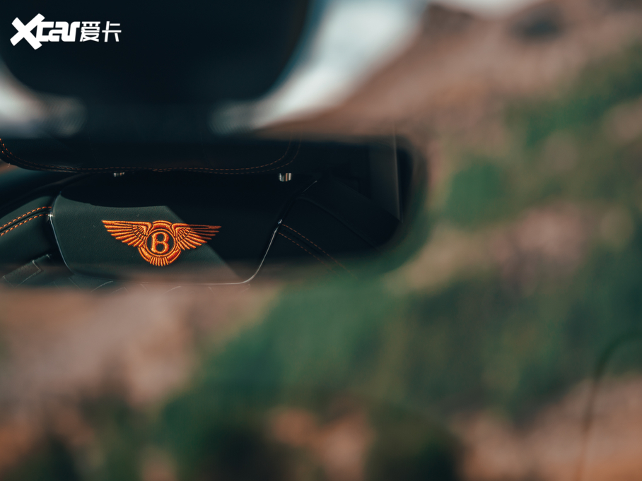 2020wY 6.0T W12 (bio)(zhn)