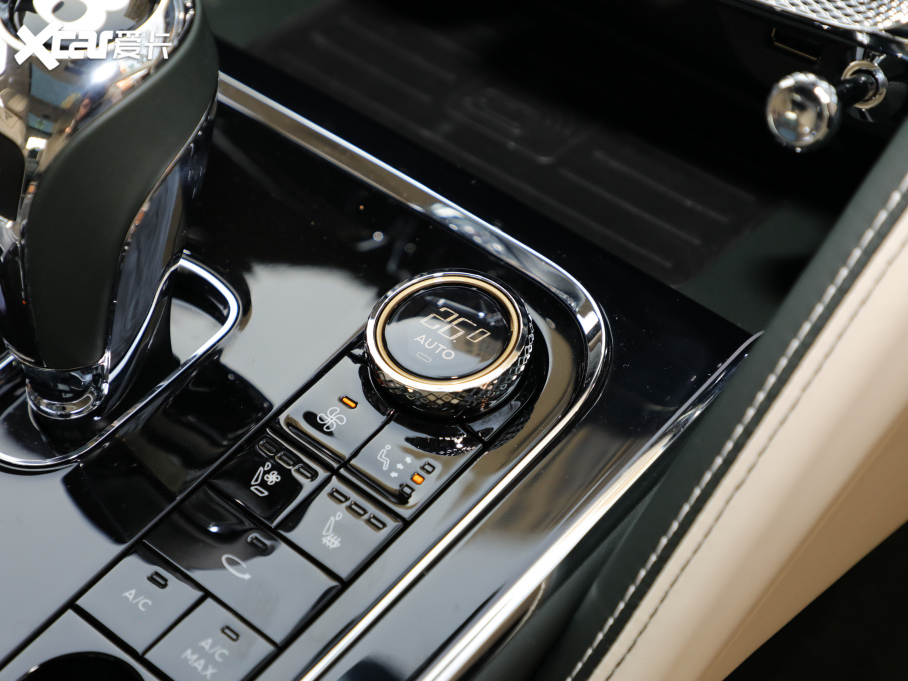 2020wY 6.0T W12 (bio)(zhn)