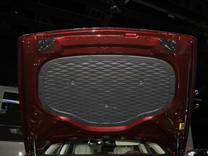 20206.0T W12 (bio)(zhn) 