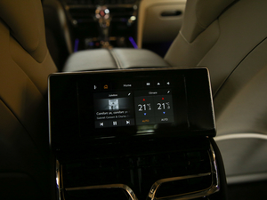 20206.0T W12 (bio)(zhn) 