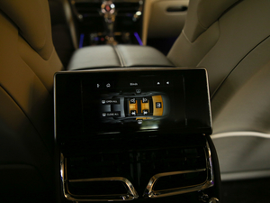 20206.0T W12 (bio)(zhn) 