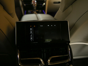 20206.0T W12 (bio)(zhn) 