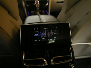 20206.0T W12 (bio)(zhn) 