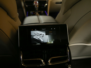 20206.0T W12 (bio)(zhn) 