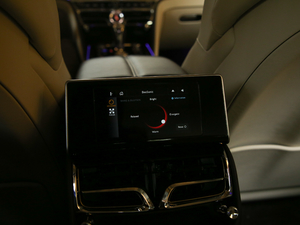 20206.0T W12 (bio)(zhn) 