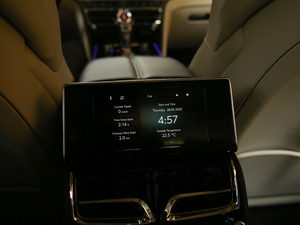 20206.0T W12 (bio)(zhn) 