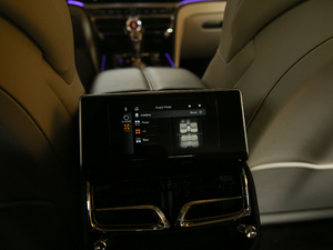 20206.0T W12 (bio)(zhn) 