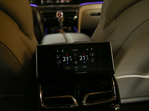 20206.0T W12 (bio)(zhn) 