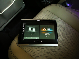 20206.0T W12 (bio)(zhn) 