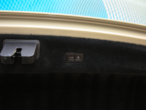 20206.0T W12 (bio)(zhn) 