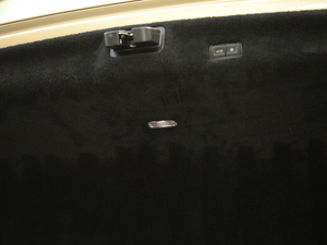 20206.0T W12 (bio)(zhn) 