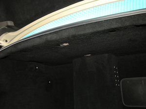 20206.0T W12 (bio)(zhn) 