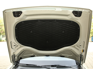 20206.0T W12 (bio)(zhn) 