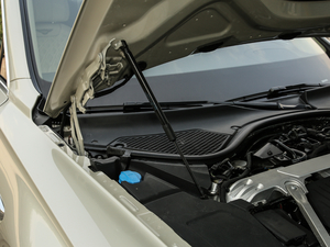 20206.0T W12 (bio)(zhn) 