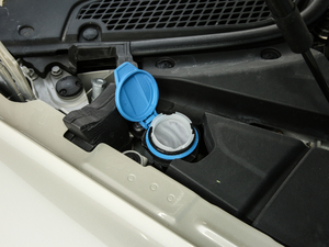 20206.0T W12 (bio)(zhn) 