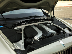 20206.0T W12 (bio)(zhn) 