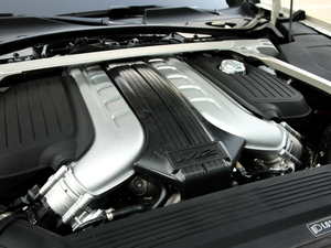 20206.0T W12 (bio)(zhn) 