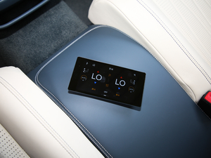 20206.0T W12 (bio)(zhn) g