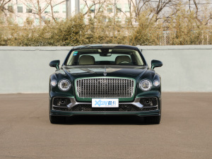 20206.0T W12 (bio)(zhn) ǰ