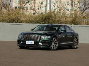 20206.0T W12 (bio)(zhn) w^