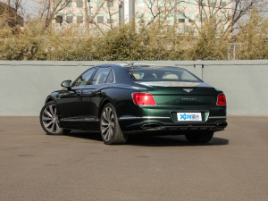 20206.0T W12 (bio)(zhn) 45