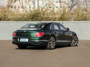 20206.0T W12 (bio)(zhn) w^