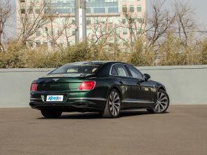 20206.0T W12 (bio)(zhn) w^