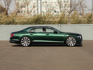 20206.0T W12 (bio)(zhn) w^