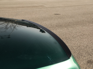 20206.0T W12 (bio)(zhn) (x)(ji)^