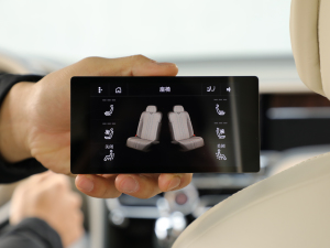 20206.0T W12 (bio)(zhn) п؅^(q)