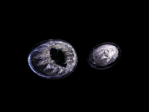 20206.0T W12 (bio)(zhn) 