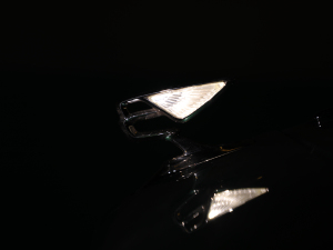 20206.0T W12 (bio)(zhn) 