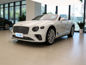 20204.0T GT V8  ǰ45