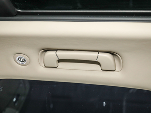 20214.0T V8 First Edition  g