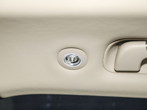 20214.0T V8 First Edition  g