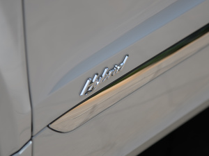 20213.0T PHEV ^