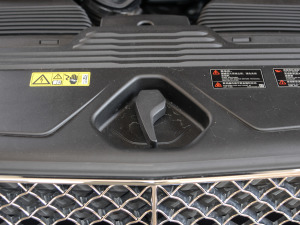 2021款3.0T PHEV 其它