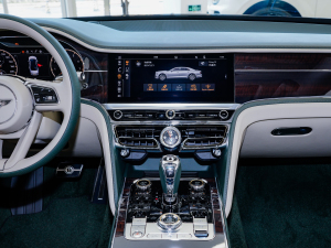 20224.0T V8 (bio)(zhn) п_