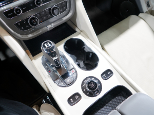 20234.0T V8 LS п؅^