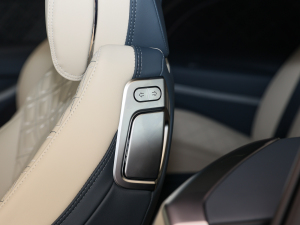 20224.0T GT V8 Mulliner g