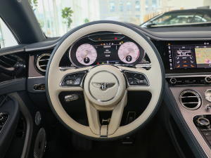 20224.0T GT V8 Mulliner P