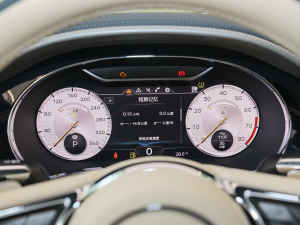 20224.0T GT V8 Mulliner п؅^