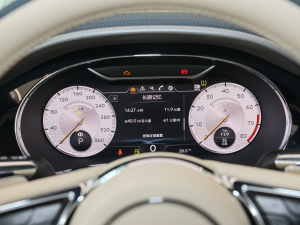 20224.0T GT V8 Mulliner п؅^