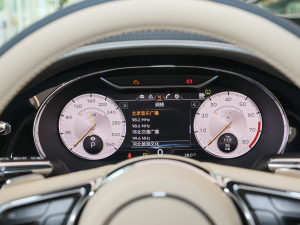 20224.0T GT V8 Mulliner п؅^