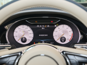 20224.0T GT V8 Mulliner п؅^