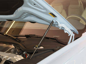 20224.0T GT V8 Mulliner 