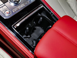 20224.0T GT V8  ǰű