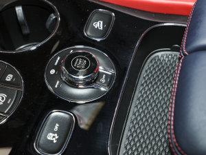 20234.0T V8 LS п؅^