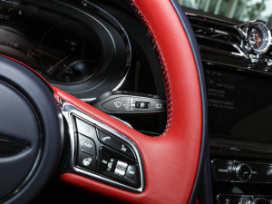 20234.0T V8 LS п؅^(q)