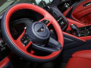 20234.0T V8 LS п؅^